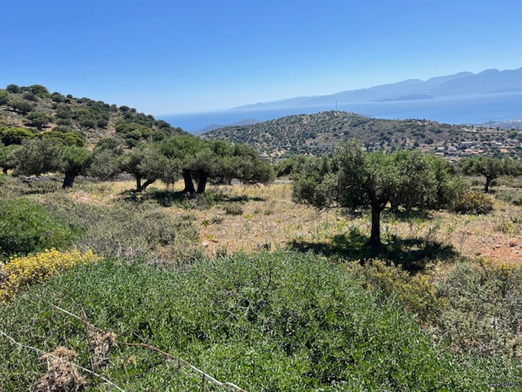 Οικόπεδο 2.883 τ.μ. πρός πώληση, Ν. Λασιθίου, Άγιος Νικόλαος