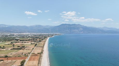 Αγροτεμάχια 56.200 τ.μ. για πώληση