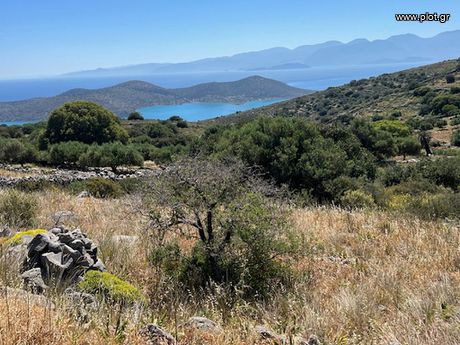 Land plot 3.200sqm for sale-Agios Nikolaos » Plaka