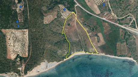 Αγροτεμάχια 43.553 τ.μ. για πώληση