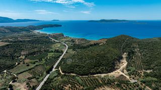 Αγροτεμάχια 43.553 τ.μ. για πώληση, Μεσσηνία, Μεθώνη-thumb-4