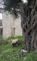 Άλλο 134 τ.μ. για πώληση, Ν. Λευκάδας, Κάλαμος-thumb-3