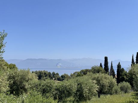 Αγροτεμάχια 6.100τ.μ. για πώληση-Πεταλίδι » Καλαμάκι