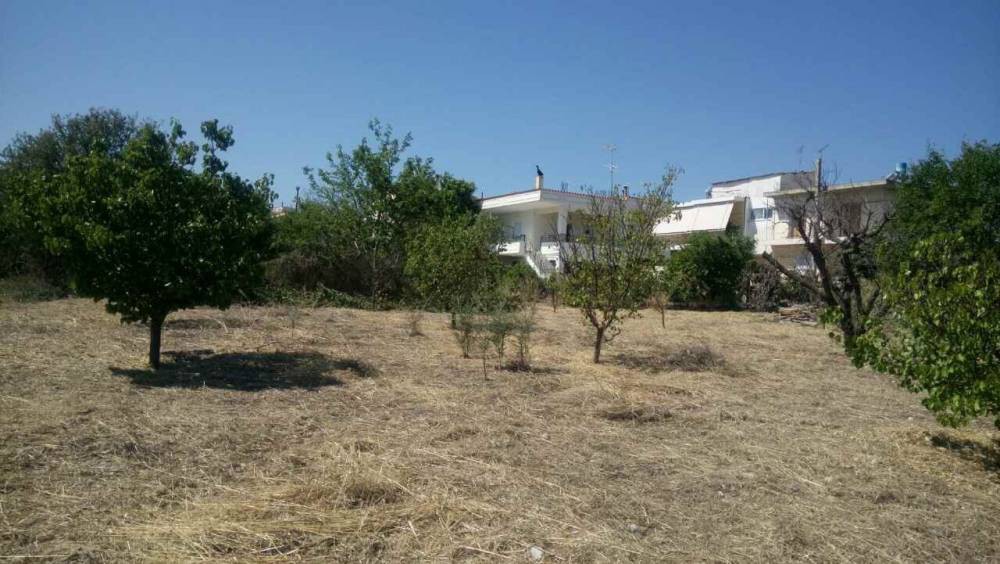 Αγροτεμάχια 4.124 τ.μ. πρός πώληση, Κορινθία, Σικυώνα