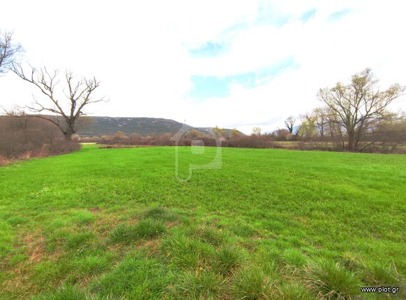 Parcel 2.414 sqm for sale, Ioannina Prefecture, Pamvotida