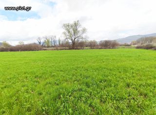 Αγροτεμάχια 2.414 τ.μ. για πώληση, Ν. Ιωαννίνων, Παμβωτίδα-thumb-2