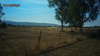 Οικόπεδο 2.000 τ.μ. για πώληση, Αργολίδα, Ασίνη-thumb-2
