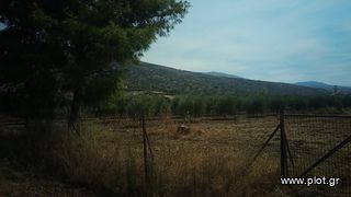 Οικόπεδο 2.000 τ.μ. για πώληση, Αργολίδα, Ασίνη-thumb-3