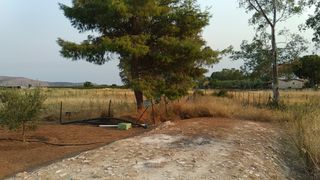 Οικόπεδο 2.000 τ.μ. για πώληση, Αργολίδα, Ασίνη-thumb-9