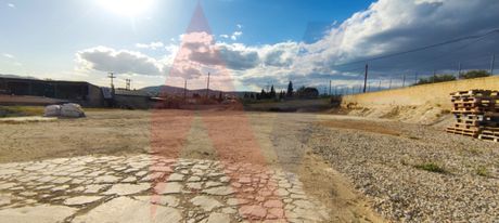 Αγροτεμάχια 4.440 τ.μ. για πώληση