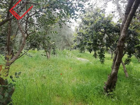 Οικόπεδο 825 τ.μ. για πώληση
