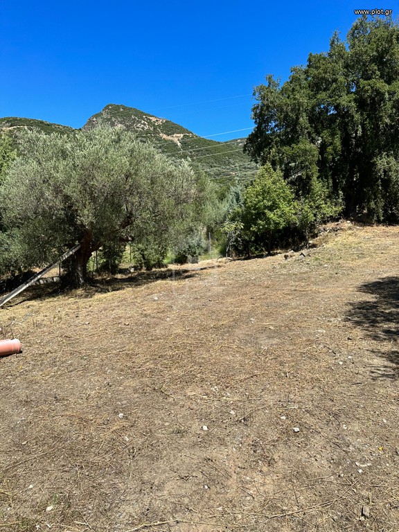 Οικόπεδο 761 τ.μ. προς πώληση, Φωκίδα, Ευπάλιο