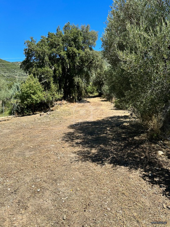 Οικόπεδο 761 τ.μ. προς πώληση, Φωκίδα, Ευπάλιο