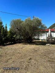Οικόπεδο 761 τ.μ. προς πώληση, Φωκίδα, Ευπάλιο-thumb-3