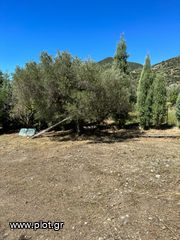 Οικόπεδο 761 τ.μ. προς πώληση, Φωκίδα, Ευπάλιο-thumb-6