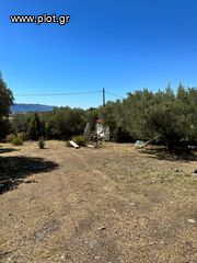 Οικόπεδο 761 τ.μ. προς πώληση, Φωκίδα, Ευπάλιο-thumb-10