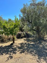 Οικόπεδο 761 τ.μ. προς πώληση, Φωκίδα, Ευπάλιο-thumb-11