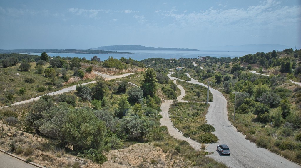 Οικόπεδο 400 τ.μ. προς πώληση, Βερβερούδα