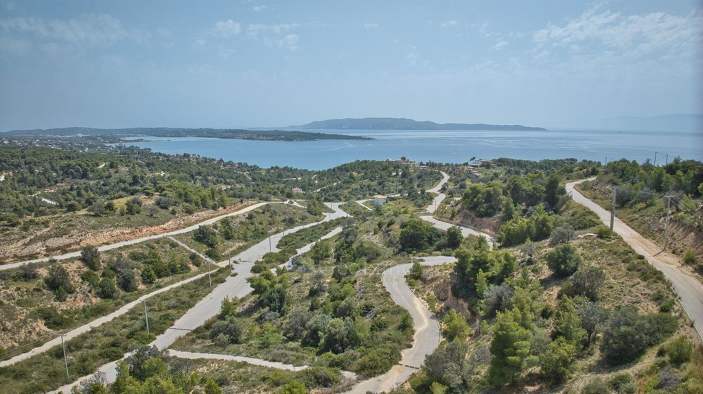 Οικόπεδο 400 τ.μ. προς πώληση, Βερβερούδα