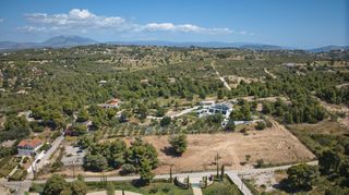 Αγροτεμάχια 4.025 τ.μ. πρός πώληση, Αργολίδα, Κρανίδι-thumb-8