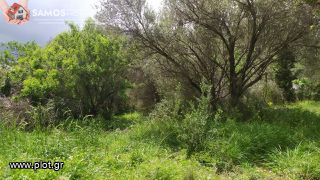 Land plot 339 sqm for sale, Samos Prefecture, Samos-thumb-2
