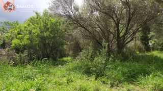 Land plot 339 sqm for sale, Samos Prefecture, Samos-thumb-10