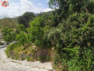 Land plot 339 sqm for sale, Samos Prefecture, Samos-thumb-15
