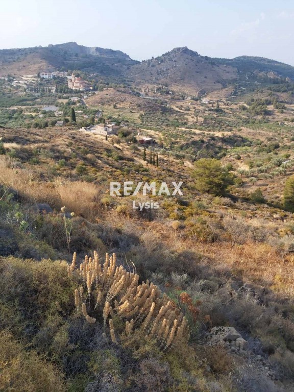 Οικόπεδο 15.700 τ.μ. προς πώληση, Κοντός Αίγινας