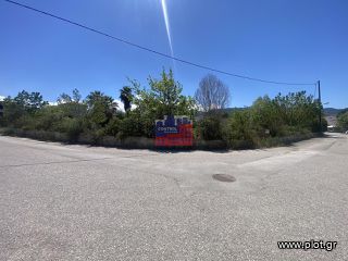 Οικόπεδο 1.000 τ.μ. πρός πώληση, Αχαΐα, Ερίνεο-thumb-1