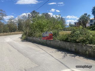 Οικόπεδο 1.000 τ.μ. πρός πώληση, Αχαΐα, Ερίνεο-thumb-3