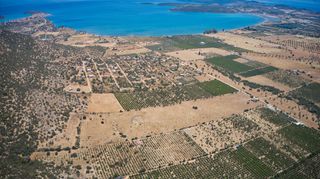 Αγροτεμάχια 60.000 τ.μ. για πώληση