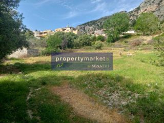 Οικόπεδο 1.970 τ.μ. προς πώληση, Σπήλι-thumb-4