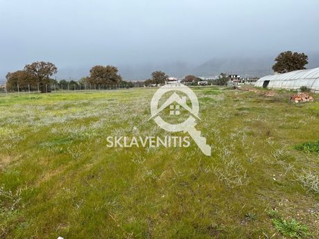 Αγροτεμάχια 15.700 τ.μ. για ενοικίαση