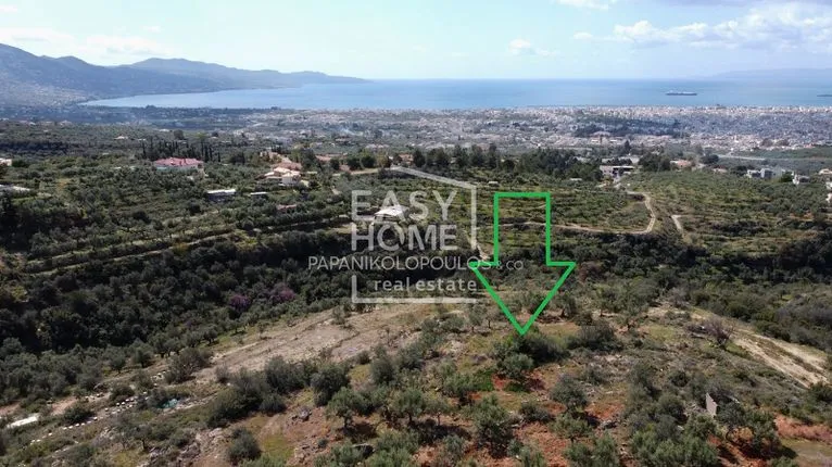 Land plot 4.320 sqm for sale, Messinia, Kalamata