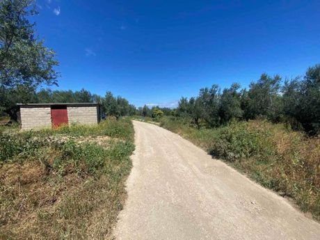 Parcel 6.350sqm for sale-Sikiona » Valtseika