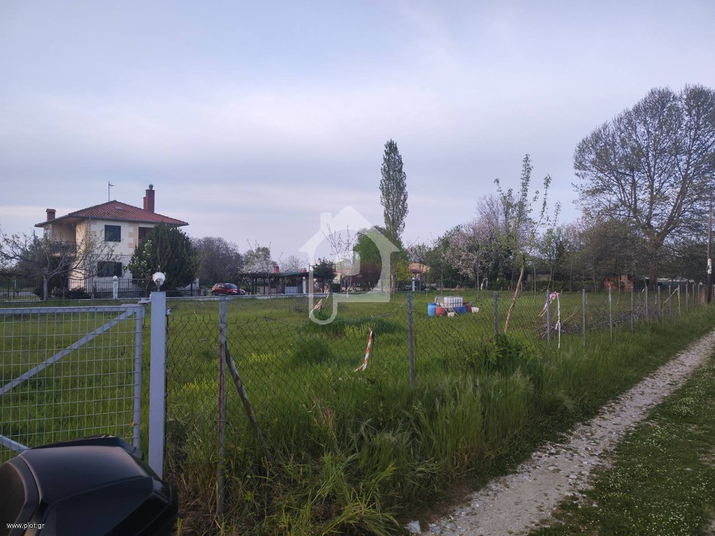 Αγροτεμάχια 250 τ.μ. πρός πώληση, Ν. Πιερίας, Ανατολικος Όλυμπος