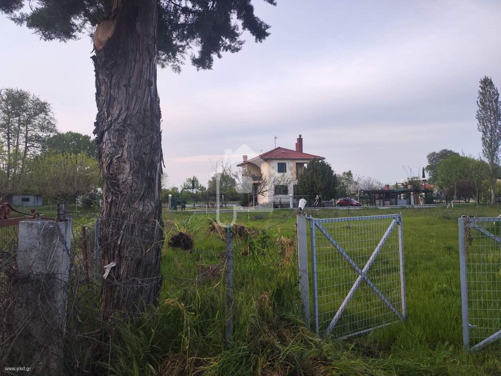 Αγροτεμάχια 250 τ.μ. πρός πώληση, Ν. Πιερίας, Ανατολικος Όλυμπος