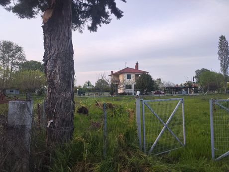 Αγροτεμάχια 250 τ.μ. πρός πώληση