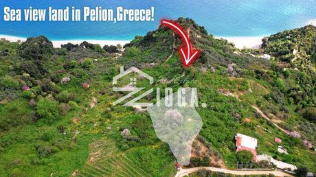 Parcel 4.146sqm for sale-Zagora » Makrirrachi