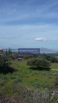 Land plot 4.088sqm for sale-Vamos » Gavalochori