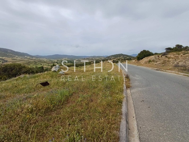 Οικόπεδο 499 τ.μ. προς πώληση, Σκάλα Συκέας
