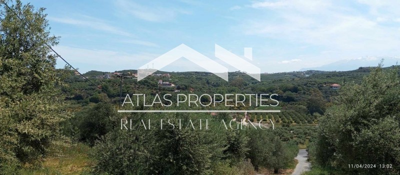 Οικόπεδο 3.386 τ.μ. προς πώληση, Πολεμάρχι