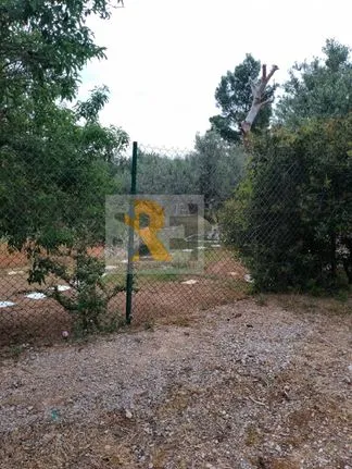 Land plot 250 sqm for sale, Athens - East, Glika Nera