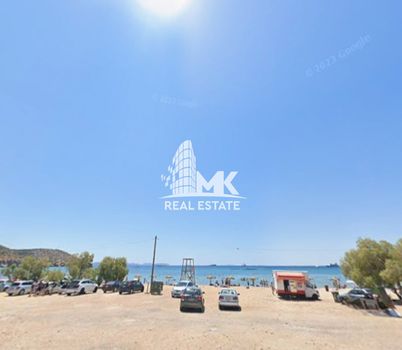 Οικόπεδο 446τ.μ. για πώληση-Βάρη- βάρκιζα » Ασύρματος αλίανθου