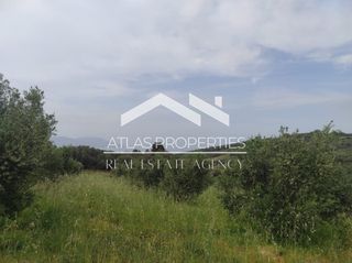 Οικόπεδο 6.300 τ.μ. για πώληση