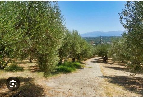 Parcel 50.000sqm for sale-Xilokastro » Pellini