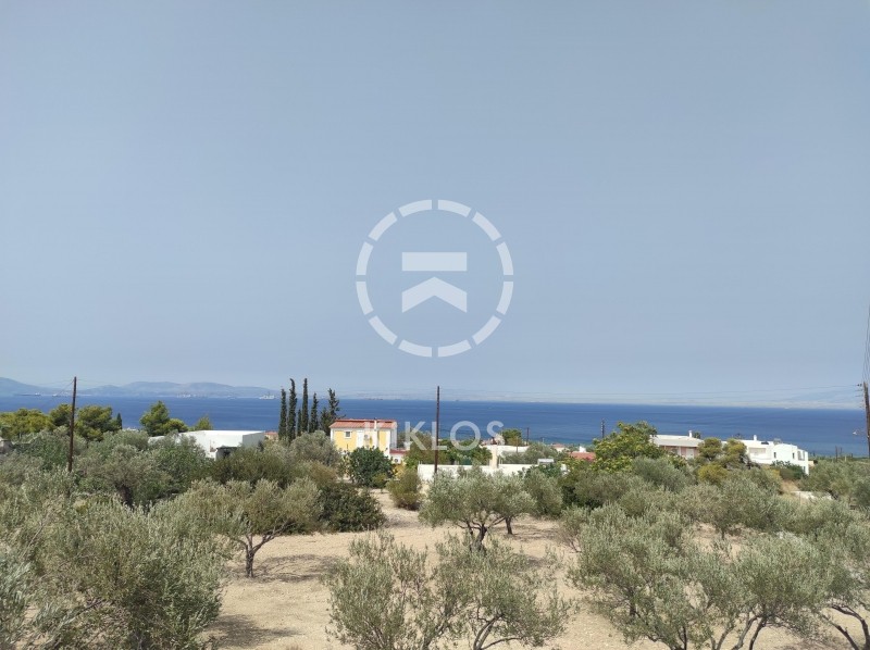 Οικόπεδο 3.600 τ.μ. προς πώληση, Βαΐα