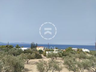 Οικόπεδο 3.600 τ.μ. για πώληση