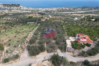 Οικόπεδο 4.167 τ.μ. για πώληση