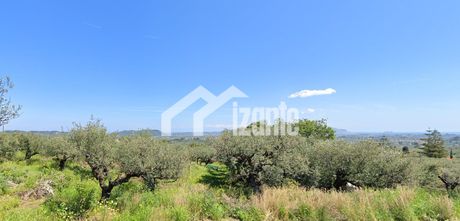 Land plot 3.060sqm for sale-Artemisio